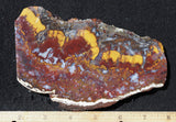 Mexican Moss Agate Rock Slab 279