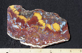 Mexican Moss Agate Rock Slab 31