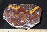 Mexican Moss Agate Rock Slab 32