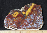 Mexican Moss Agate Rock Slab 37