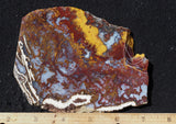 Mexican Moss Agate Rock Slab 39