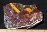 Mexican Moss Agate Rock Slab 280