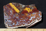 Mexican Moss Agate Rock Slab 280