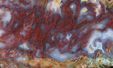 Bargain Bin E Slab 264
