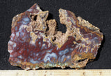Bargain Bin E Slab 264