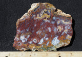 Mexican Moss Agate Rock Slab 50