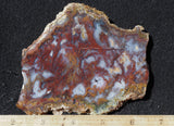 Mexican Moss Agate Rock Slab 38