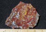 Mexican Moss Agate Rock Slab 45