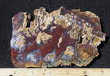 Mexican Moss Agate Rock Slab 285
