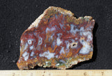 Mexican Moss Agate Rock Slab 54