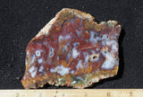 Mexican Moss Agate Rock Slab 54