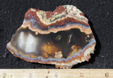 Mexican Moss Agate Rock Slab 57