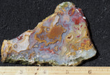 Mexican Moss Agate Rock Slab 56