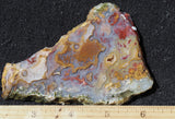 Mexican Moss Agate Rock Slab 56