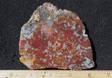 Mexican Moss Agate Rock Slab 59