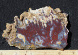 Mexican Moss Agate Rock Slab 51