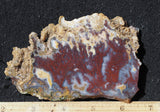 Mexican Moss Agate Rock Slab 51