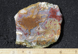 Mexican Moss Agate Rock Slab 284