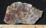 Mexican Moss Agate Rock Slab 33