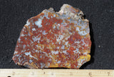 Mexican Moss Agate Rock Slab 53