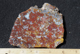 Mexican Moss Agate Rock Slab 53