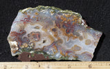 Mexican Moss Agate Rock Slab 36