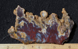 Mexican Moss Agate Rock Slab 290