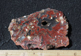 Mexican Moss Agate Rock Slab 52