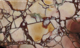 Bargain Bin E Slab 259