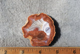 Berber Agate Rock Slab 75
