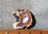 Berber Agate Rock Slab 79