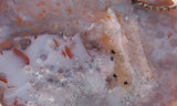 Bargain Bin D Slab 891