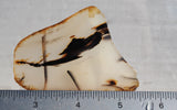 Montana Agate Rock Slab 459