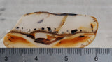 Montana Agate Rock Slab 438