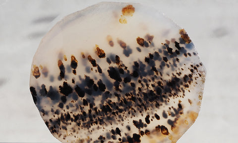 Montana Agate Rock Slab 158