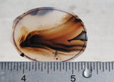 Montana Agate Rock Slab 173