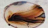 Montana Agate Rock Slab 173
