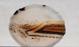 Montana Agate Rock Slab 174