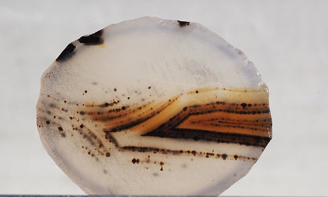 Montana Agate Rock Slab 174