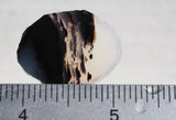 Montana Agate Rock Slab 165