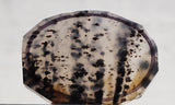 Montana Agate Rock Slab 163