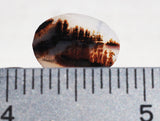 Montana Agate Rock Slab 159