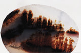 Montana Agate Rock Slab 159