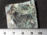 Oregon Moss Agate Rock Slab 19
