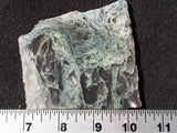 Oregon Moss Agate Rock Slab 041