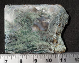 Oregon Moss Agate Rock Slab 16