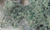 Oregon Moss Agate Rock Slab 16