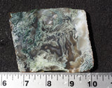 Oregon Moss Agate Rock Slab 34
