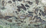 Oregon Moss Agate Rock Slab 045