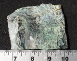 Oregon Moss Agate Rock Slab 043